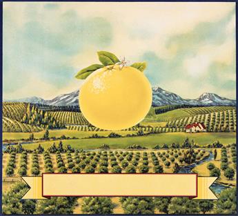 (ADVERTISING & STORE WINDOWS--FRUIT) A collection of 27 advertising and display photographs related to the Florida orange and citrus in